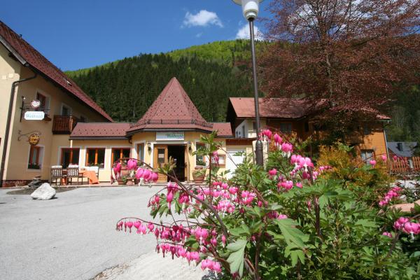 SEH Hotel Waldesruh**** Lower Austria, hotel Goestling an de